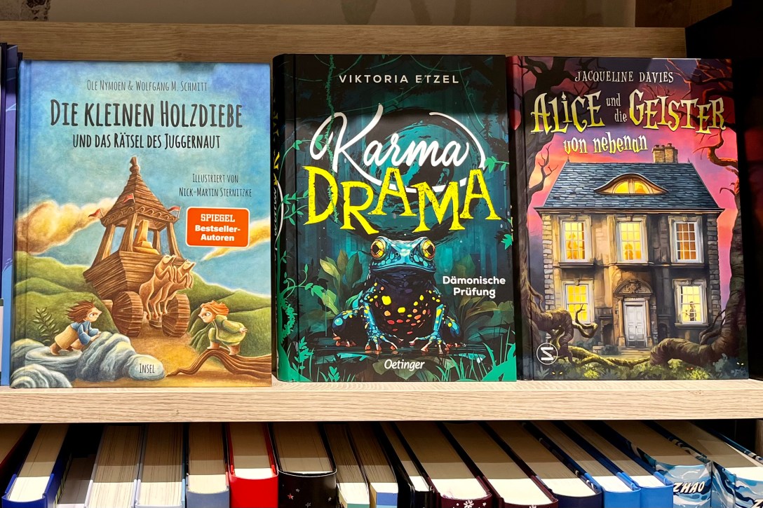 Cover "Die kleinen Holzdiebe und das Rätsel des Juggernaut"